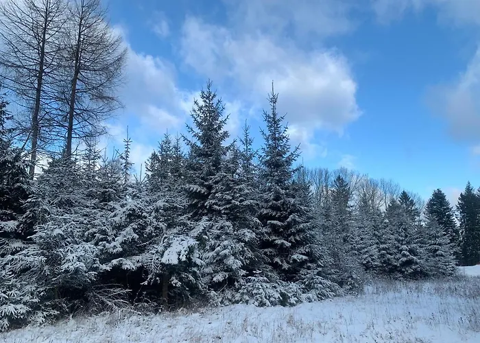 Na Gorce 샬레 두슈니키 즈드로지